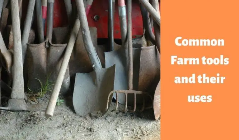 ranked-list-common-farm-tools-and-their-uses-updated-2021